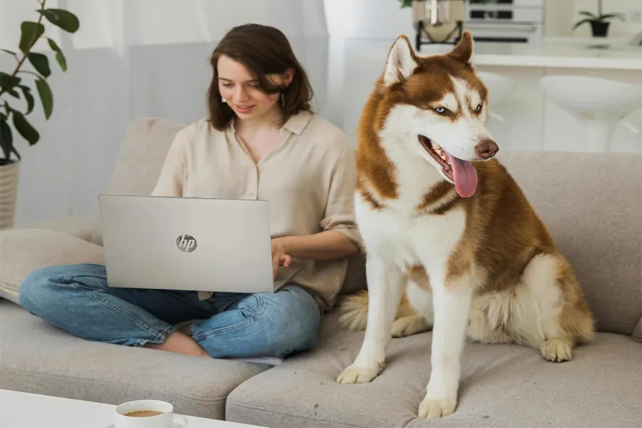 HP Copilot-ready business laptop option in a clean workspace